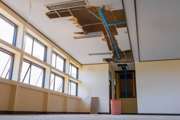  Escobares, TX Water damage restoration Pros