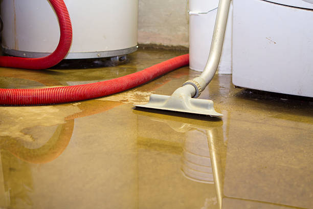 24/7 water damage repair in Escobares, TX
