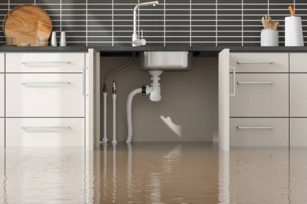 Best Flood damage cleanup  in Escobares, TX